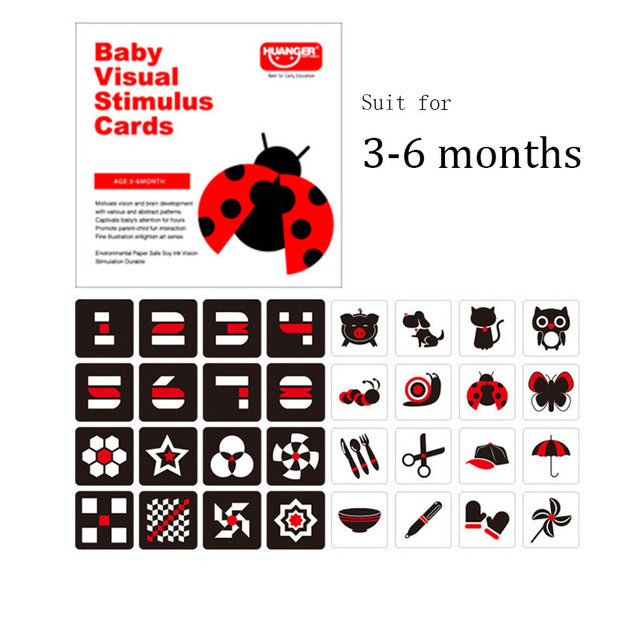 Toddler Visual Word Flash Cards