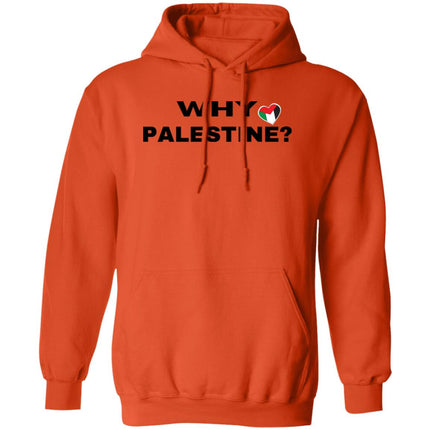 WHY PALESTINE? Pullover Hoodie