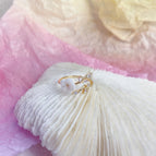 open shell goldcolor / Resizable