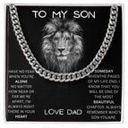 Stainless Steel / Standard Box